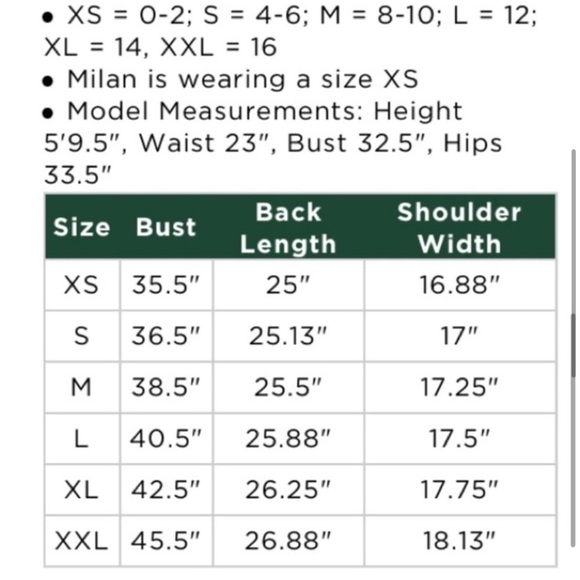 Pomander Place Finley Velvet Flutter Sleeve Top Tuckernuck size XL - Picture 10 of 12